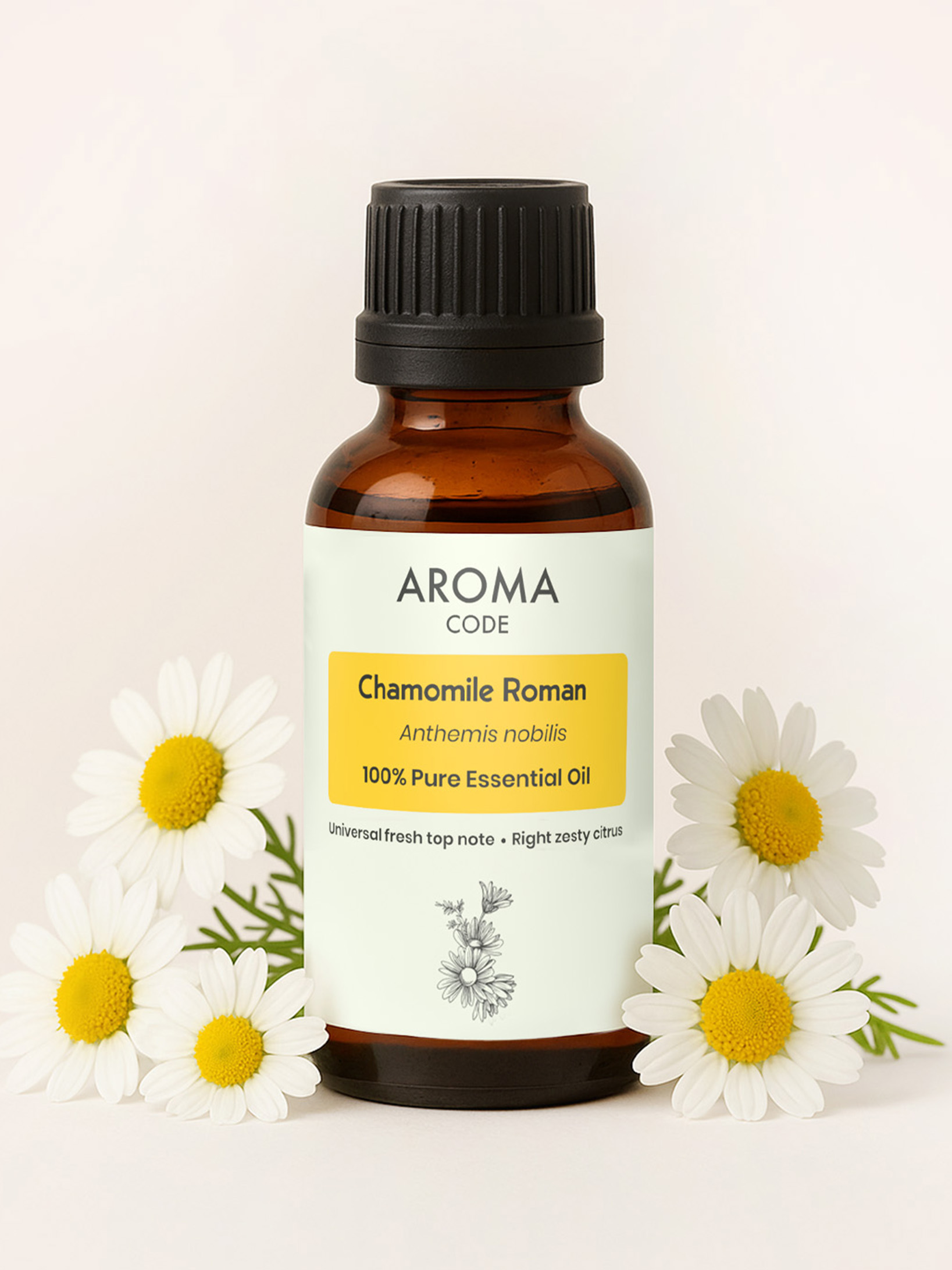 chamomile roman